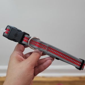 NWOT reflective collar